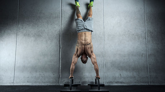 Cordyceps for Boosting Testosterone: Benefits Explained