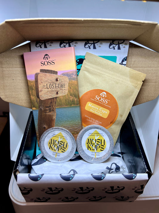 2025 FALL Member Box *Special*.