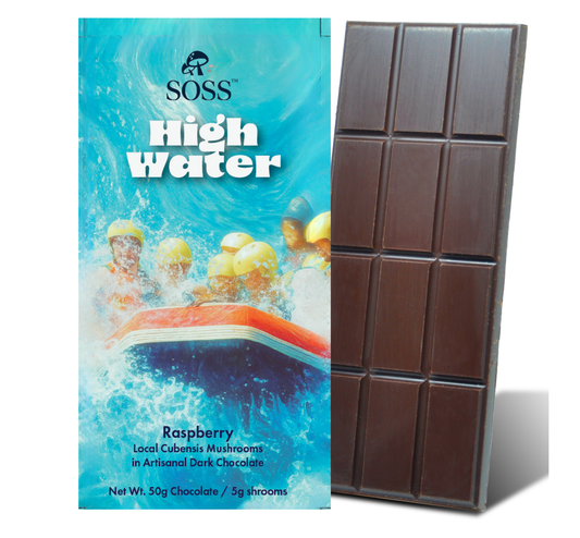 High Water – Raspberry Dark Chocolate Bar